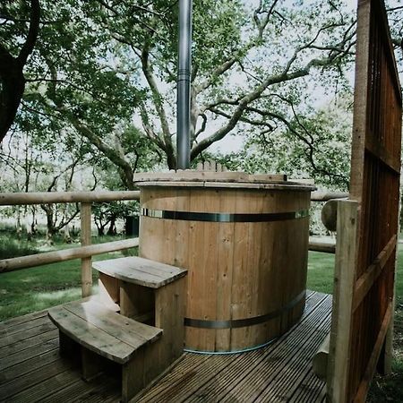 Oak Special Winter Offers - Hot Tub & Log Burner Barmouth Exterior foto